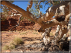 foto Parco nazionale Uluru-Kata, Tjuta